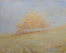 Tušená pěšina ll.  40x50